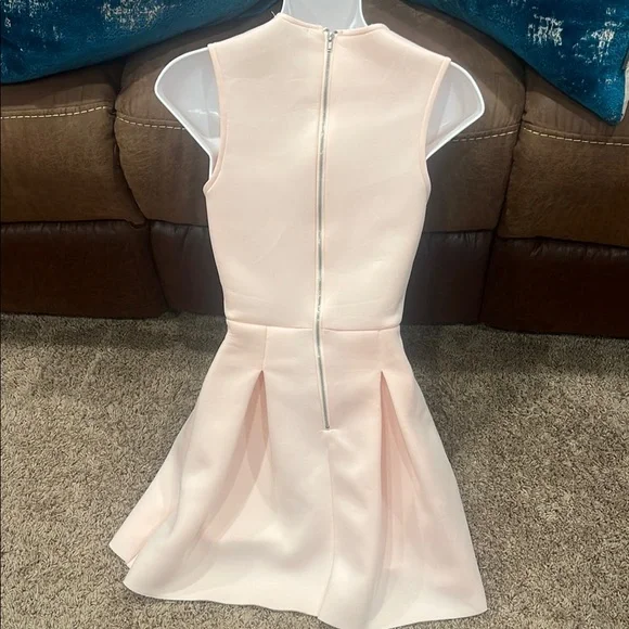 Elegant Pink Sleeveless Dress - Picture 5 of 5